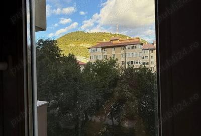 De inchiriat apartament 2 camere Piatra Neam?, Bd. Eminescu De inchiriat apartament 2 camere Piatra Neam?, Bd. Eminescu - 8