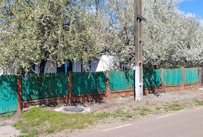 Casă cu Teren 5000 Mp în Ulmu - 2