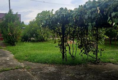 Casă cu 4 camere în Nisipoasa - 6