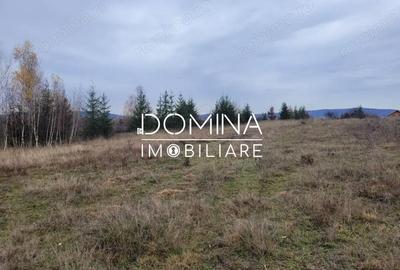 Teren de 5000 mp, în Central - 7