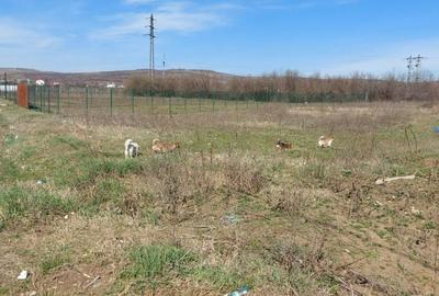 Teren în Valea Călugărească - 3