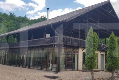 Investitie ! Casa de vacanta 350 mp utili ,teren 3000 mp in Faget ! - 2