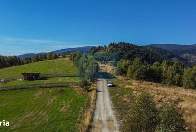 Teren de 1000 mp, în Băișoara - 8