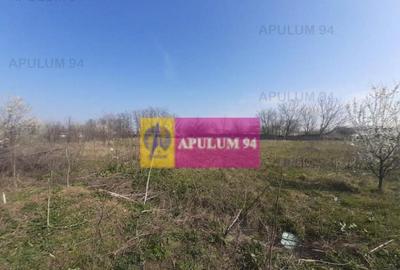 Teren de 4800 mp, în Glina - 16