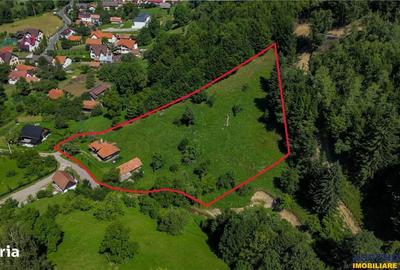 Casă cu 2 camere decomandat cu Teren 4300 Mp în Bran - 15