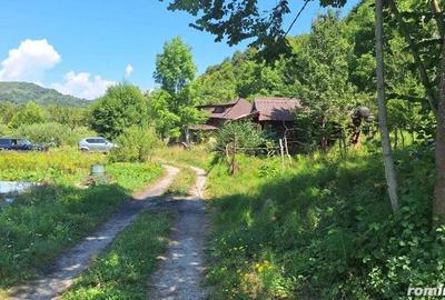 VANZARE ANSAMBLU CASUTE BRADULET ARGES - 15