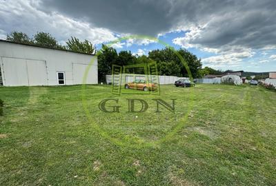 Hala 90mp, teren 300mp, zona Parcul Tineretului - 1