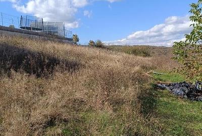 Teren 1000 mp intravilan, Zona Tarpiului - 2