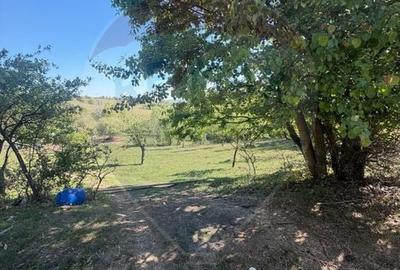 Teren agricol extravilan de 6322 mp, în Central - 9