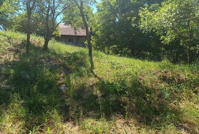 0 COMISION  Teren cu potențial și liniște in Corusu - 9