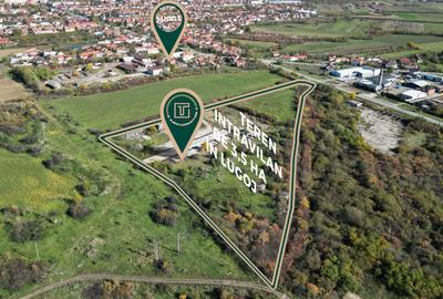 Teren intravilan de 35000 mp, în Lugoj - 3