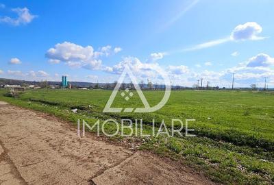 Teren Rovinari, langa Autoliv - certificat de urbanism! - 3