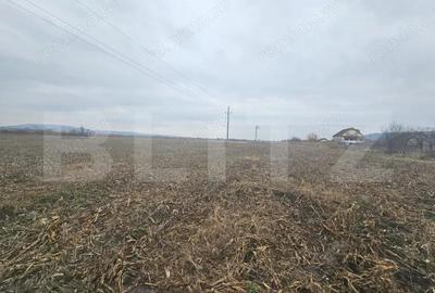 Teren extravilan 9000 mp, Ocna Mures - 1