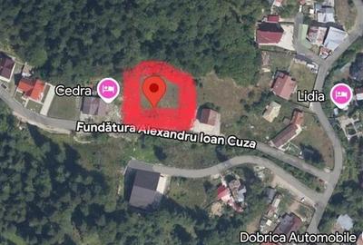 IDEAL INVESTITIE TEREN PREDEAL, 1936 mp intravilan, toate utilitatile, padure - 3