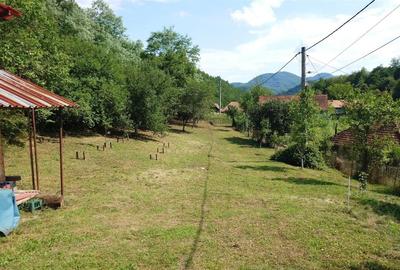 Cabana, anexe si 2000 mp teren intravilan in Taratel, Brad - 13