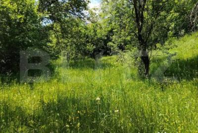 Teren de 4125 mp, în Fieni - 2