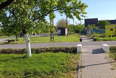 Spațiu comercial, în Fibiș - 3