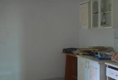 Casă individuală cu 4 camere cu Teren 4500 Mp în Cotu Văii - 2