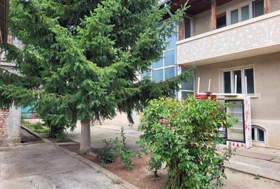 VANZARE  PROPRIETATE CIOFLICENI /TEREN GENEROS/POTENTIAL RIDICAT - 2