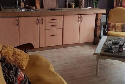 FILM! In Bohemian Style, loc parcare, curte proprie,vedere panoramica, Cartiieru - 54