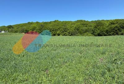 Teren Construcții extravilan de 2900 mp, în Popești - 1