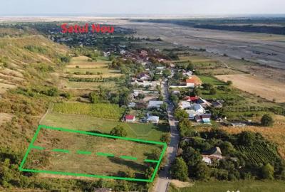 Teren de 4267 mp, în Satu Nou (Panciu) - 5