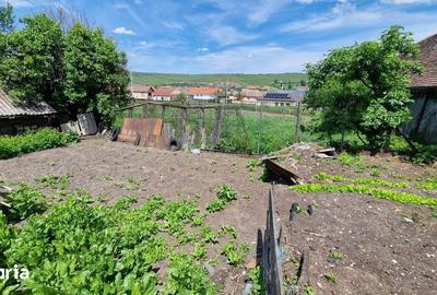 Casă cu 4 camere cu Teren 2984 Mp în Chirpăr - 34
