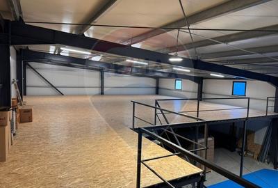 Spațiu industrial, de 500 mp, în Cernica - 3