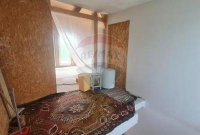 Casă cu 5 camere cu Teren 2566 Mp în Vitănești - 1