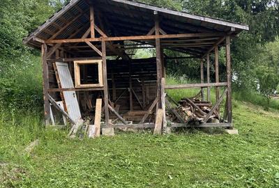 Spațiu comercial, în Lăpușnicu Mare - 3