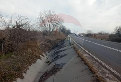 Teren de 2301 mp, în Cârcea - 1