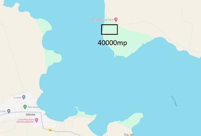Teren Construcții extravilan de 40000 mp, în Mihail Kogălniceanu - 1