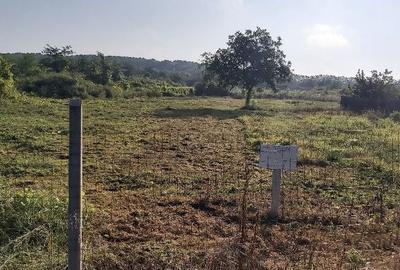 Spațiu comercial, în Central