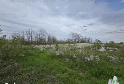 Teren de 2325 mp, în Joița - 5