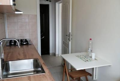Apartament cu 2 camere decomandat în Plopilor - 4