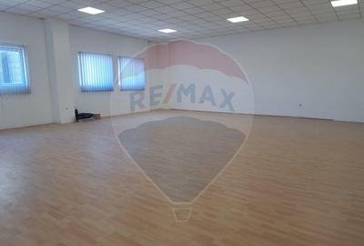 Spatii depozitare /productie 500 / 275/108 85/54 mp Jilav... - 17