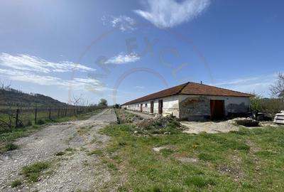 Teren intravilan cu grajduri si anexe – Aninoasa AG - 2