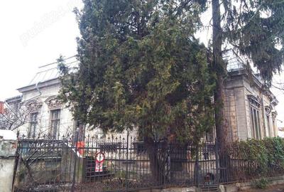 Casă cu 3 camere în Central - 2