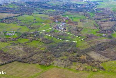 Spațiu comercial, în Valea Orlei - 15