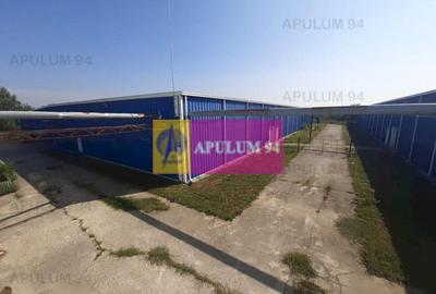 Spațiu industrial, de 4,850 mp, în 1 Decembrie - 45