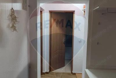 Apartament cu 2 camere, de vanzare, in zona Ferneziu (Baia Mare) - 1