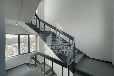 Spatii birouri, 440 pana la 1350 mp, Zona Lipovei - 5