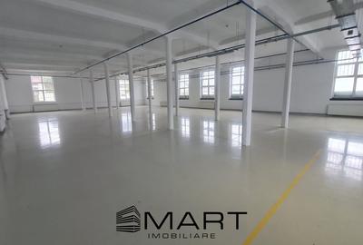 Spatii de inchiriat â Depozitare | Productie | Birouri Cisnadie - 1