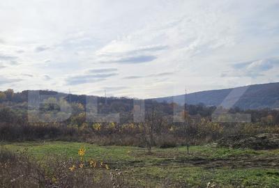 Teren de 600 mp, în Europa - 2