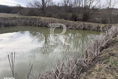 Spațiu comercial, în Rontău - 5