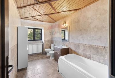 Proprietate cu potențial uriaș – Timișul de Sus – Brașov - 23