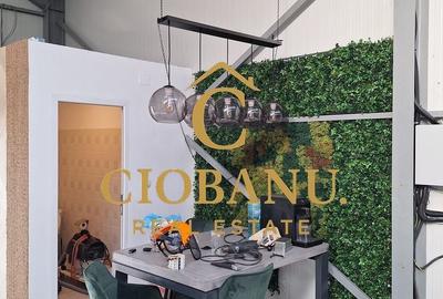 Hala de vanzare in Racarii de Jos - 8