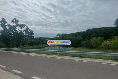 Teren intravilan 1734 mp. Ipotesti langa padure si lac! Teren intravilan 1734 mp. Ipotesti langa padure si lac! - 6