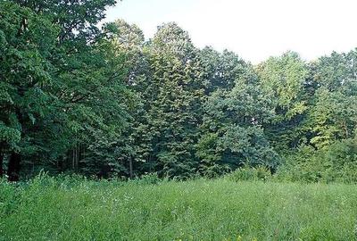 Spațiu comercial, în Vârfuri - 2