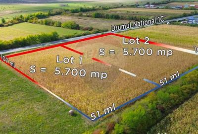 Teren de 11400 mp, în Finteușu Mare - 3